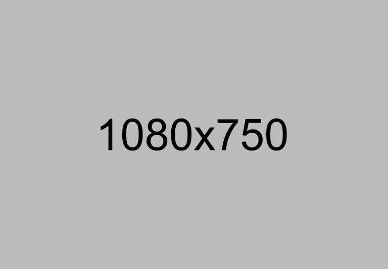 Scopri di più sull'articolo Vestibulum sapin prin quam