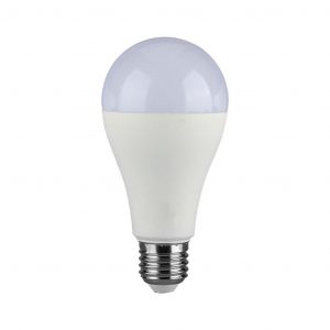 Lampadina LED E27 15W A65 6500K