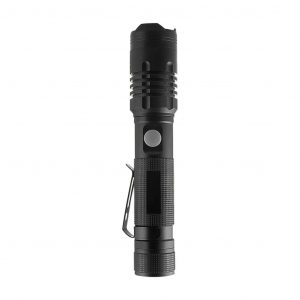 Luce ricaricabile da 10 W SMD Torch IP54
