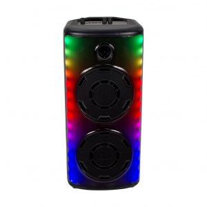 Altoparlante ricaricabile da 20 W con 1 controllo RF microfono cablato e maniglia (2*8 pollici)