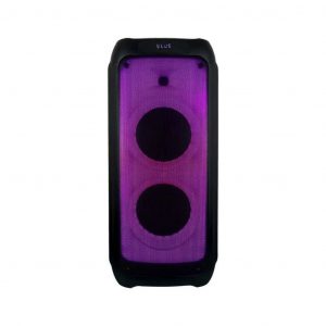 Altoparlante ricaricabile da 40 W con un controllo RF microfono cablato e maniglia 2*8 pollici